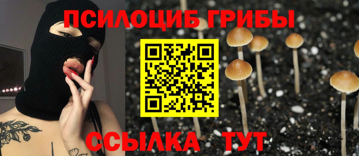Галлюциногенные грибы Psilocybe  Вход с VPN  купить   Сертолово 